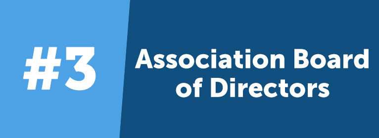 Current standing members that volunteer on the national or a chapter board of directors are given VIP status to thank them for their contribution to the organization.